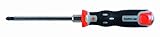 Bahco 040.003.150 Thru Blade Pozidriv Screwdriver, 11-1/2-Inch [並行輸入品]