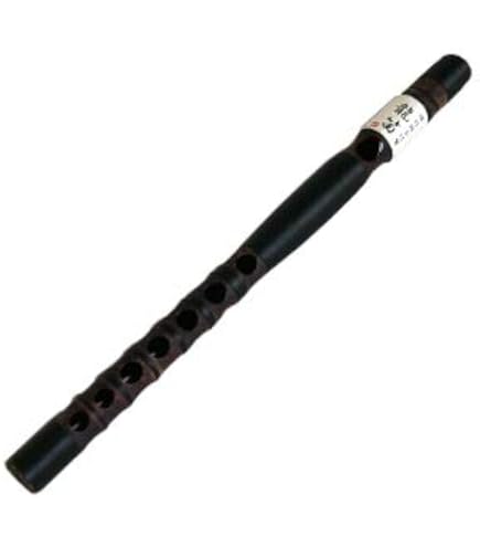 和楽器　龍笛と篠笛 imgrc0078065952.jpg