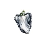 White Pepper