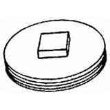 Jones Stephens P50-350 Raised Head Brass Cleanout Plug, 3-1/2-Inch by Honeywell [並行輸入品]