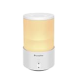 Etopgo 加湿器 卓上 大容量 650ml 小型加湿器 ダブルノズル 超音波式 卓上加湿器 上から給水 お手入れ簡単 30dB超静音 省