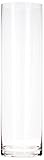 WGV Clear Cylinder Glass Vase 14-Inch [並行輸入品]