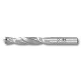 Fisch FSF-176565 HS Double Flute Brad Point Drill - OAL-Cylinder, 4mm Diameter x 75mm [並行輸入品]