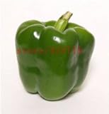100Seeds Sweet Pepper Seeds vegetable seedsHigh budding rate fast growth 2