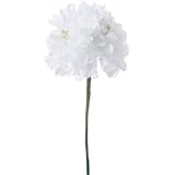 フェミニンレースダブルピオニー W