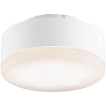 Amazon.co.jp: パナソニック(Panasonic) LEDフラットランプ 電球色