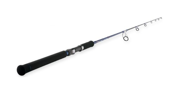 Amazon 天龍 Tenryu ロッド スパイク Sk762m 天龍 Tenryu キャスティングロッド