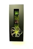 【多肉植物】【人工観葉】【触媒加工】【高さ40ｃｍ幅15ｃｍ暑さ4.5ｃｍ】【壁掛けにも置き用にも】