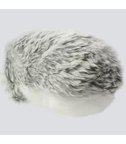 Amazon | カシオのAIペット moflin(モフリン) シルバー | ロボット