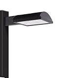 RAB Lighting ALED2T78 Type II with 8-Inch Pole Mounting Arm Cool Led, Bronze [並行輸入品]