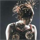 �T���i���͂�������