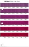 Pantone Metallicsページ 規格外 1RPOM-22
