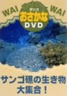 ���C���C��������DVD �T���S�ʂ̐�������W��!