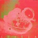 ���Ă���