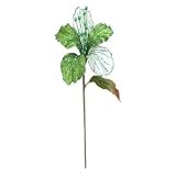 23 "ライムベルベットMagnolia 6 "花X 2