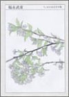 書評 福永武彦 (ちくま日本文学全集) by Ravenclaw