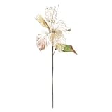 23 "シャンパンベルベットMagnolia 6 " FL x 2