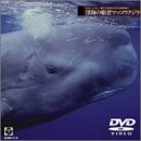 Echoes of Sea(3) �C�m�ʐ^�� ��������̉f���I�s �[�C�̔e�҃}�b�R�E�N�W��