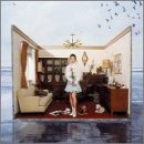 �J�^���V�X