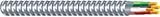 AFC CABLE SYSTEMS 2101S22-AFC 25' 14/2 MC W/G Cable [並行輸入品]
