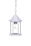 Acclaim 5185TW/SD Madison Collection 1-Light Outdoor Light Fixture Hanging Lantern, Textured White [