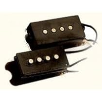 Amazon | Seymour Duncan Antiquity 2 Pride for P-Bass