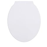 Achim Home Furnishings TOPPSTWH04 Fantasia Standard Plastic Toilet Seat, 17-Inch [並行輸入品]