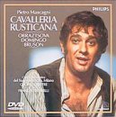 �J�o�����A�E���X�e�B�J�[�i*�̌�