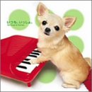 �����A��������B