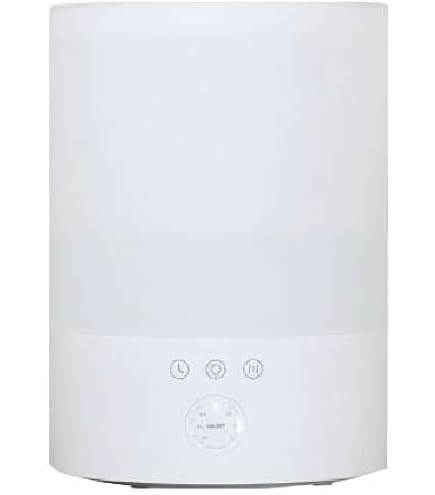 Amazon.co.jp: SEIKO GIKEN 超音波噴霧器 5L タンク ミスト HM