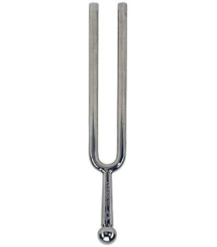 Amazon.co.jp: Wittner ウィットナー 音叉 No.921 tuning fork (A