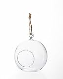 ガラスプランター　ハンギンググラス　ボール　M　2個セット