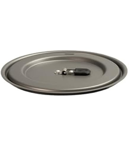 Amazon | エバニュー(EVERNEW) フライパンフタ The Lid/16cm