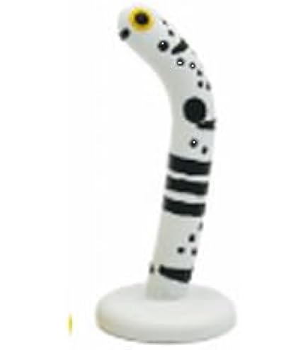 Amazon | NEW ちんあなご ニシキアナゴ（オレンジ） | アズー (AZOO