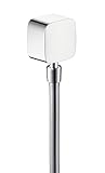 Hansgrohe PuraVida Fixfit 27414000ホース接続クロム