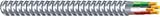 AFC CABLE SYSTEMS 2104S22-AFC 25' 12/2 MC W/G Cable [並行輸入品]