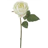 フェミニンオールドローズ GR