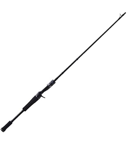 Amazon | Jackson(ジャクソン) ジェスター JSC-66TL-P+ | ジャクソン