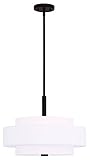 Livex Lighting 50874 Meridian 4ライトドラムペンダント、 50874-07 1