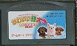 みんなのソフトシリーズ2980 かわいい仔犬ミニ わんこと遊ぼう!!