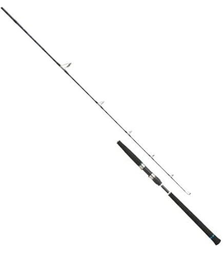 Amazon | PRO MARINE(プロマリン) CB クロノスターLJ B632MH | プロ