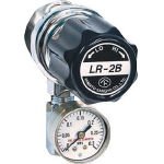 [N-4344685]ヤマト　分析機用ライン圧力調整器　ＬＲ－２Ｓ　Ｌ９タイプ LR2SRL9TRC