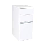 川口工器 ランドリー 収納 チェスト バスケット 付き 完成品 (ロー) スリム 19271 日本製