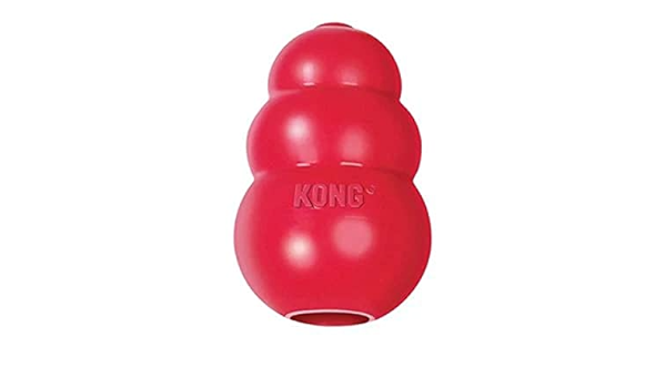 kong red toy