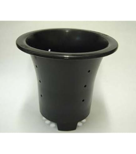 Amazon.co.jp: 万年青プラ鉢 4.5号 : DIY・工具・ガーデン