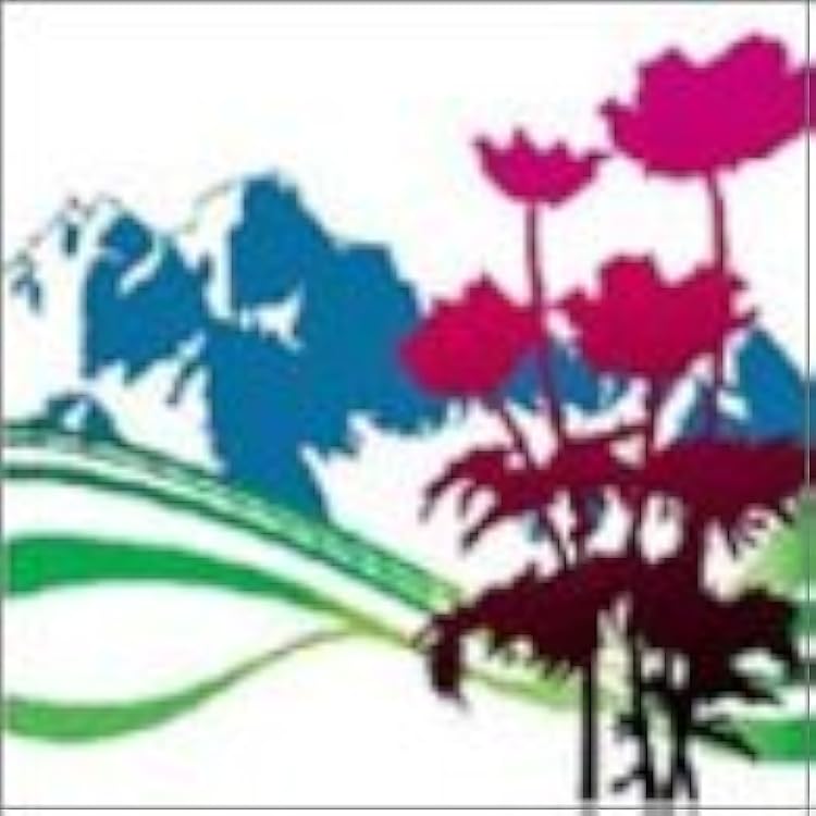 Amazon.co.jp: ザ・ベスト・オブ・ニュー・オーダー: ミュージック