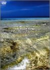 virtual trip IBIZA (�g�[���p�b�P�[�W��)