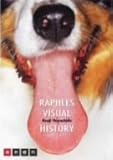 RAPHLES VISUAL HISTORY