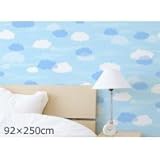 のり残りなし!アクセント壁紙　幅92×高さ250cm　雲 WAP-505 1019289 【1点】