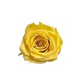 ~Coco Heart~ 　1輪で買える　プリザローズ・ルミエール サフランイエロー　花直径約２ｃｍ　(ハンドメイド アレンジ　クリスマス　母の日　プリザブドフラワー・ローズ）